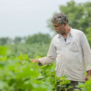 A Image of Farmer