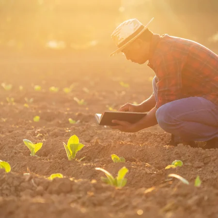 An image of asian young farmer working in field