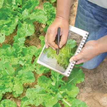 A Image of Agricultural Knowledge at Fingertips